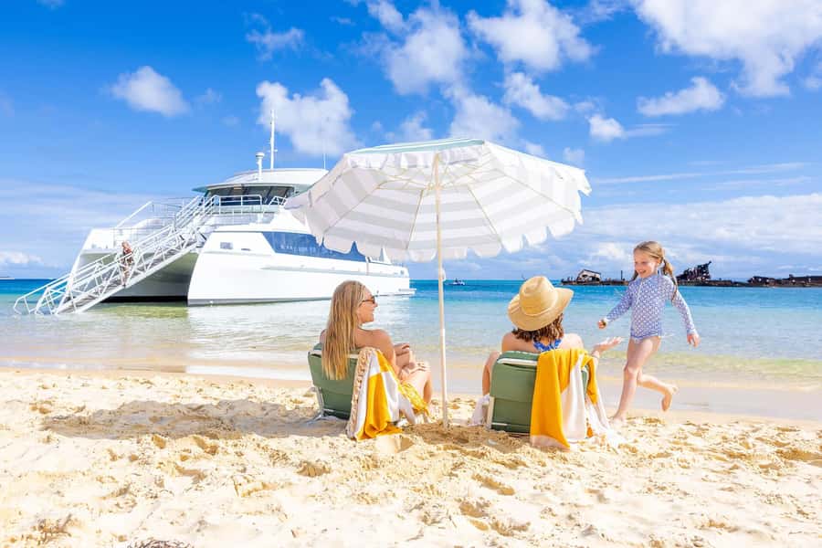 Moreton Island: Dolphin & Tangalooma Wrecks Snorkel Cruise - A smooth start from Brisbane or the Gold Coast