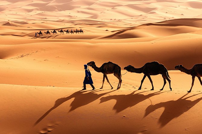 Morocco Top Trips: Luxury 10-Day Private Tour in Morocco - Casablanca begins with Hassan II Mosque