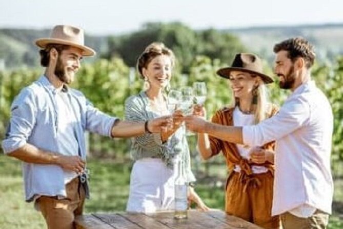 Mount Tamborine Deluxe Wine Tasting with Two Course Lunch - Key points at a glance