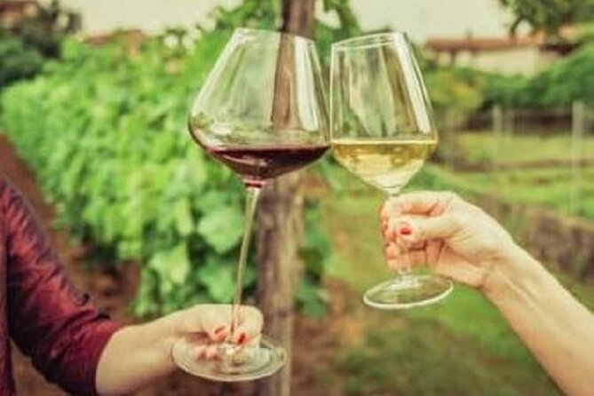 Mount Tamborine Deluxe Wine Tasting with Two Course Lunch - Mason Wines and the two-course lunch