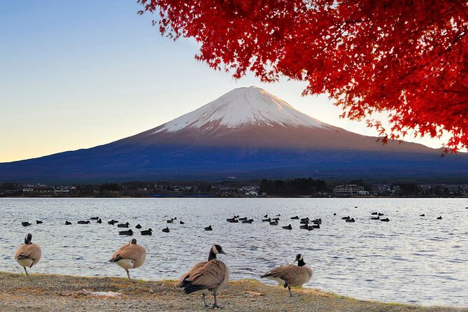 Mt Fuji Exclusive Tour with Private Car English Guide - Oshino Hakkai: clear springs and a compact village