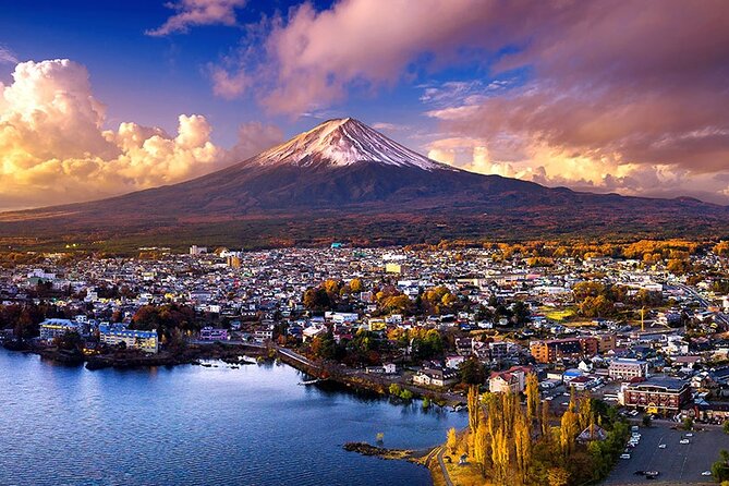 Mt Fuji Exclusive Tour with Private Car English Guide - Oishi Park: flowers, Fuji views, and a soft-serve stop