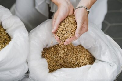 Munich: Hands-On Brewery Tour & Tasting of 4 Organic Beers