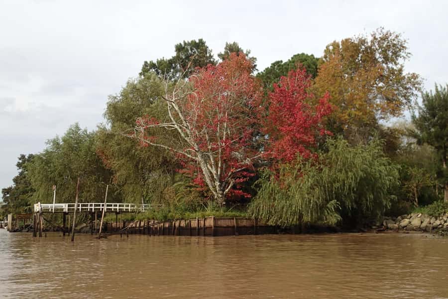 Navigation in Delta of Tigre - Exclusive semi private tour - Should you book it?