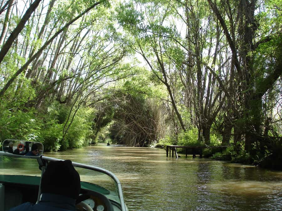 Navigation in Delta of Tigre - Exclusive semi private tour - The 9:00 am pickup from Buenos Aires