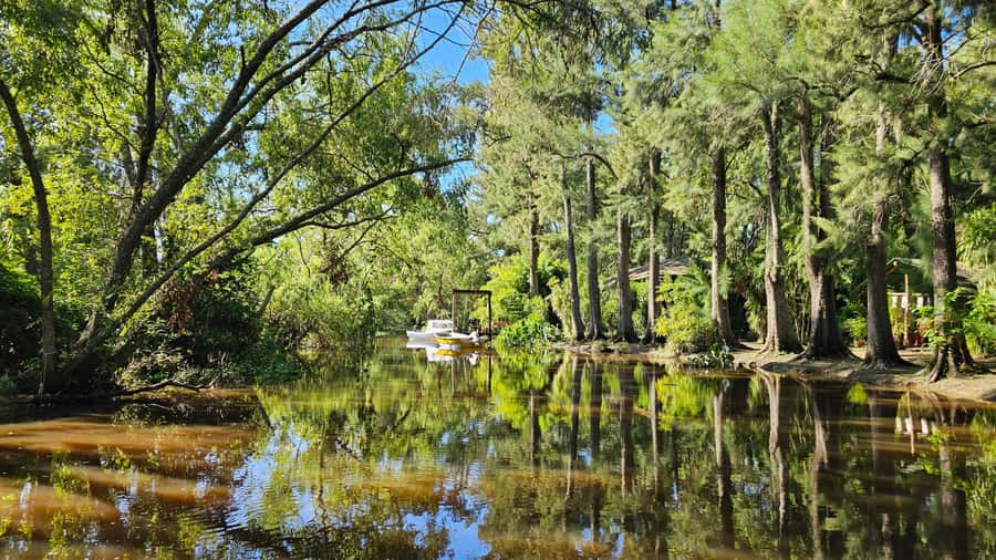 Navigation in Delta of Tigre - Exclusive semi private tour - Two hours among channels, homes, and wildlife
