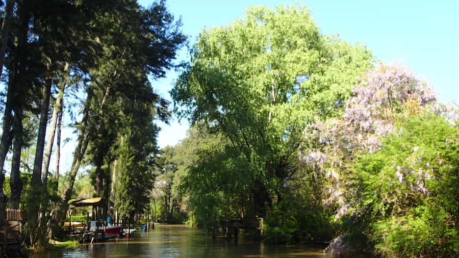 Navigation in Delta of Tigre - Exclusive semi private tour - Snacks, swimming, and what to bring