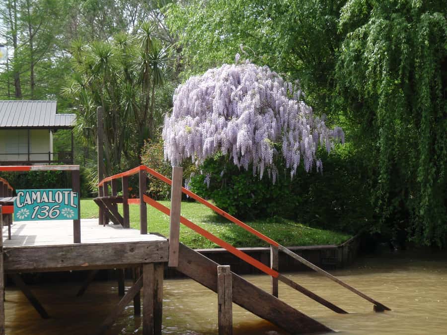 Navigation in Delta of Tigre - Exclusive semi private tour - Enrique or Martin as your guide