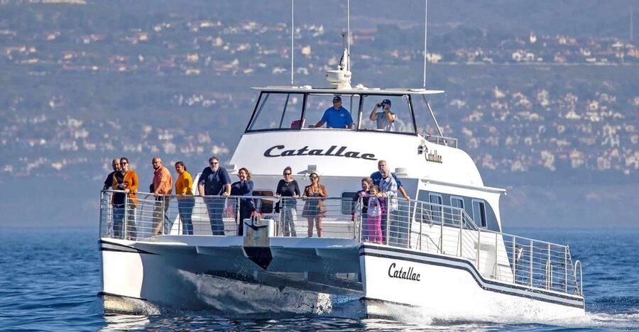Newport Beach: Luxury Whale Watching Catamaran Cruise - The coastal route from Balboa Island to The Wedge