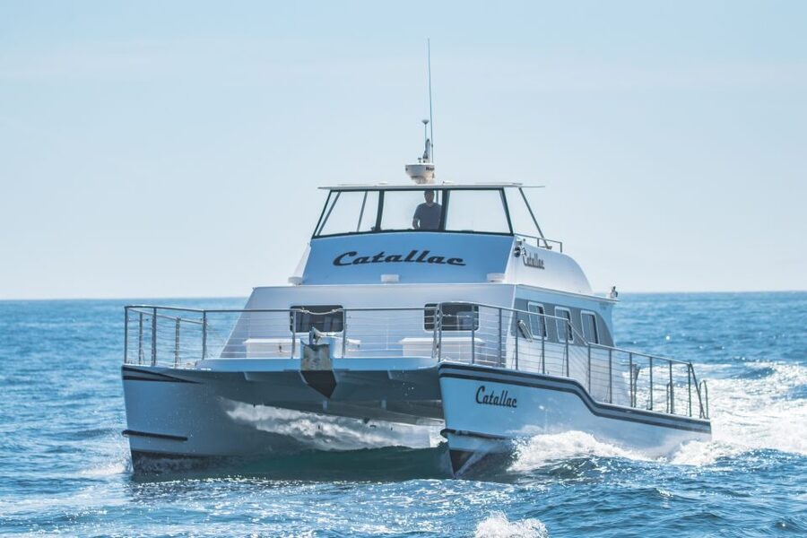 Newport Beach: Luxury Whale Watching Catamaran Cruise - How the 150 minutes feels