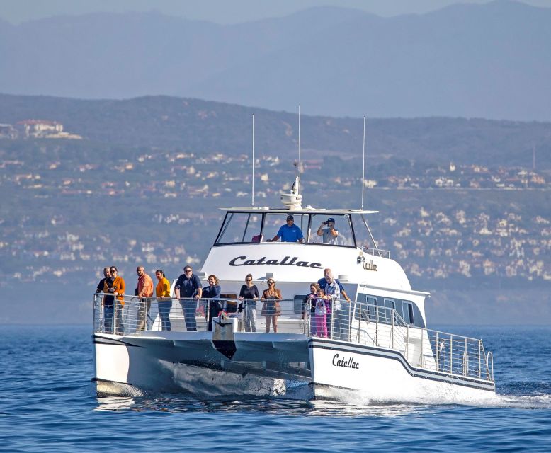 Newport Beach: Luxury Whale Watching Catamaran Cruise - Who will enjoy this cruise most?