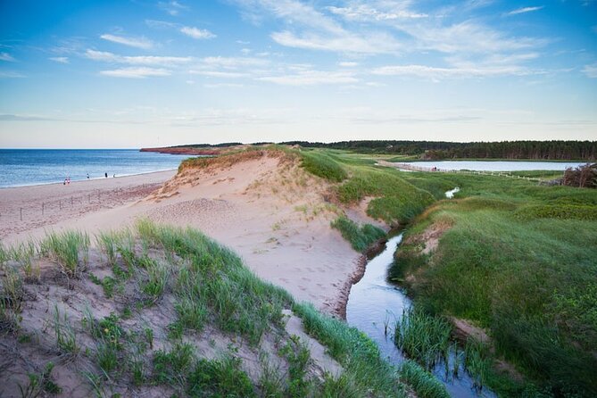 North Shore Tour of Prince Edward Island In Luxury - Price, timing, and who gets the best value
