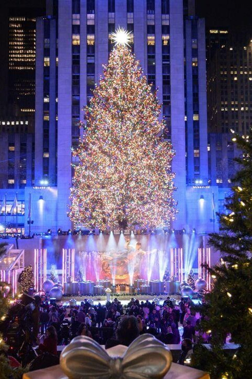NYC: Dyker Heights and NYC Holiday Lights Luxury Bus Tour - Ending Under the Rockefeller Center Christmas Tree