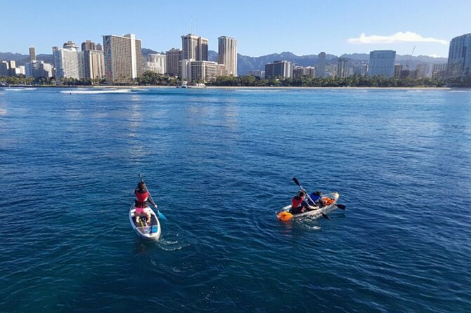 Oahu 5-in-1 Deluxe Cruise: Turtle Snorkeling & Ocean Activities - Snorkeling near Waikiki and the chance to see turtles
