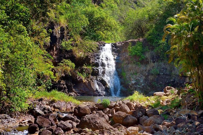 Oahu Deluxe Grand Circle Island Tour - Key points to know before you book