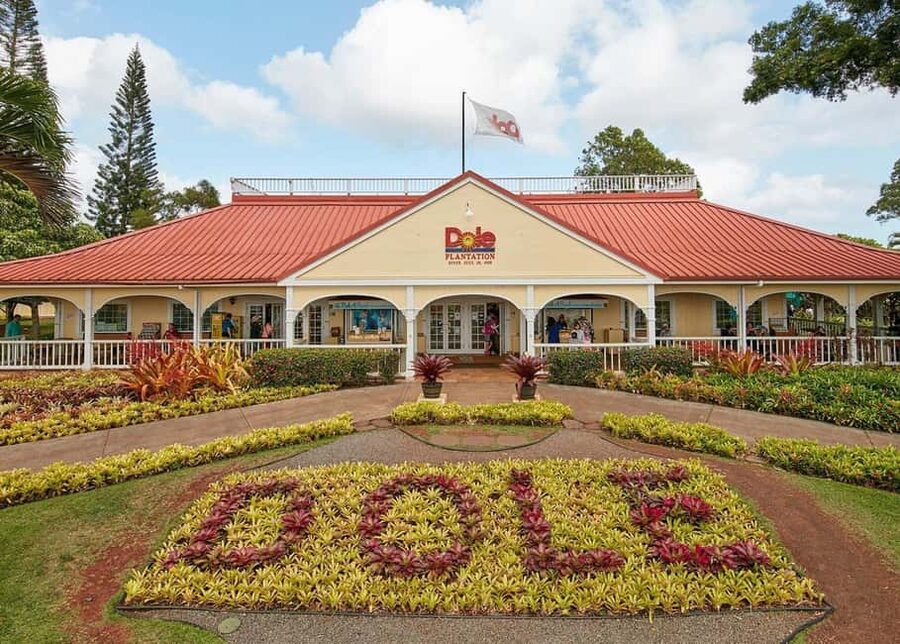 Oahu: Dole Plantation & Haleiwa Express Deluxe Tour - Why combine Dole Plantation with Haleiwa?