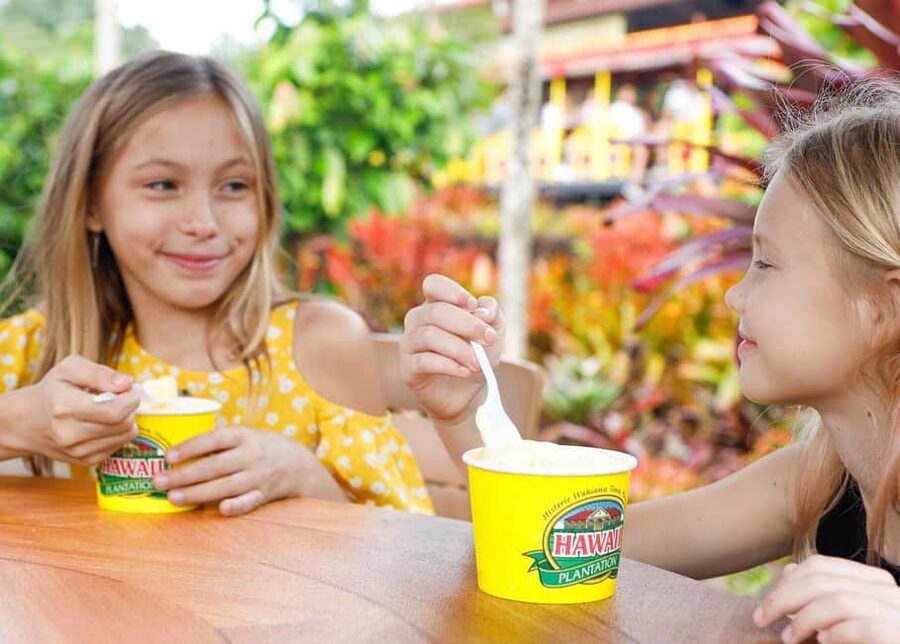 Oahu: Dole Plantation & Haleiwa Express Deluxe Tour - Haleiwa gives you two hours to set your own pace