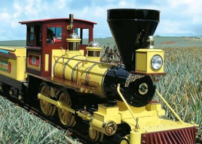 Oahu: Dole Plantation & Haleiwa Express Deluxe Tour