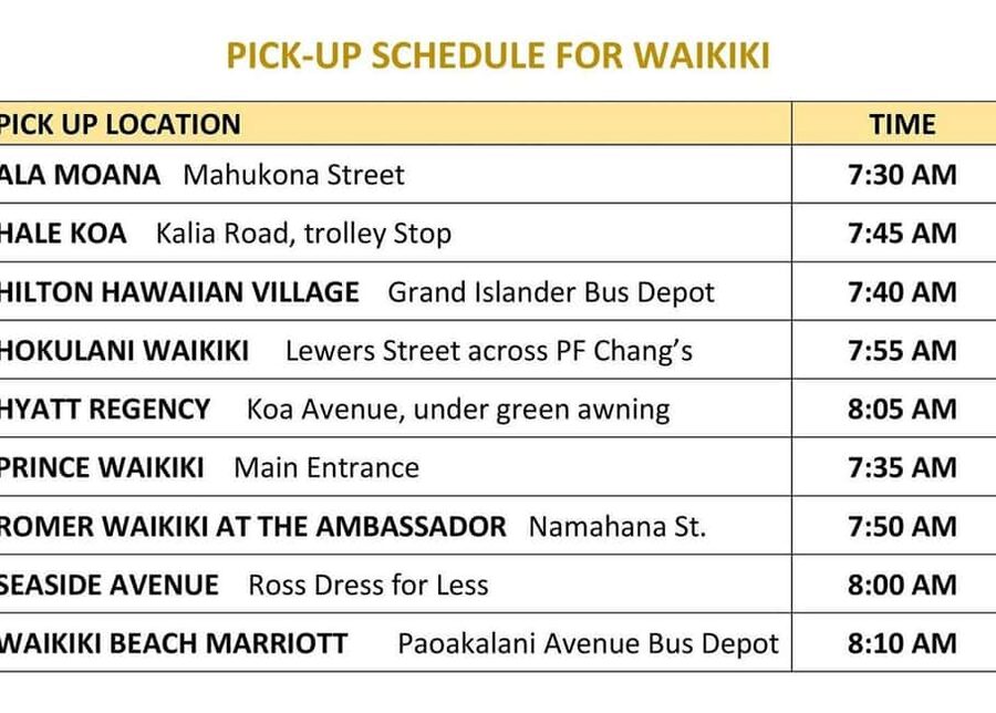 Oahu: Dole Plantation & Haleiwa Express Deluxe Tour - The guide can shape the whole day
