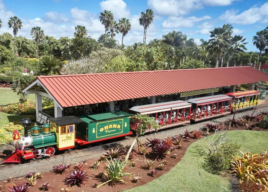 Oahu: Dole Plantation & Haleiwa Express Deluxe Tour - Is $100 a fair price?