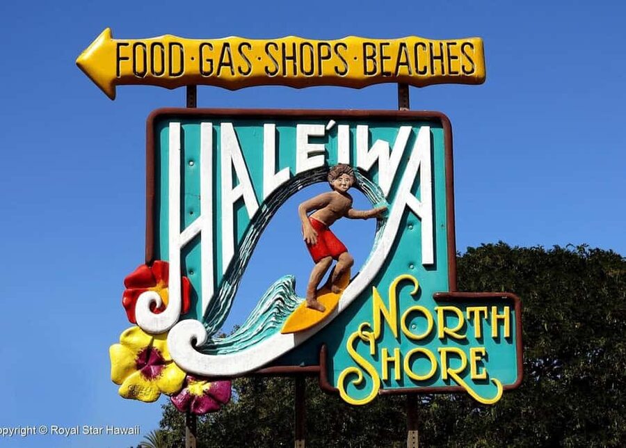 Oahu: Dole Plantation & Haleiwa Express Deluxe Tour - Who will enjoy this North Shore outing?