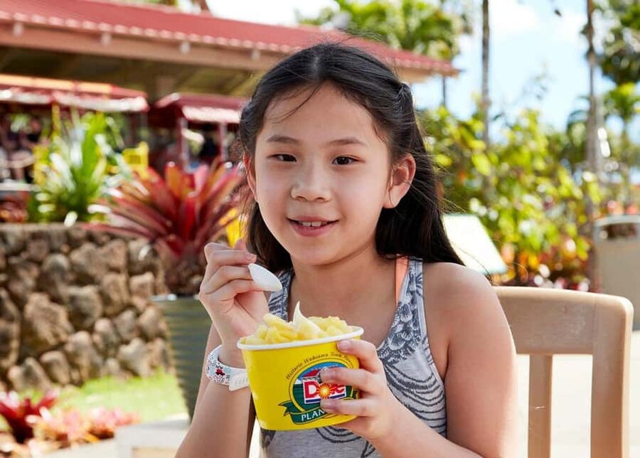 Oahu: Dole Plantation & Haleiwa Express Deluxe Tour - Timing, food, and small practical choices