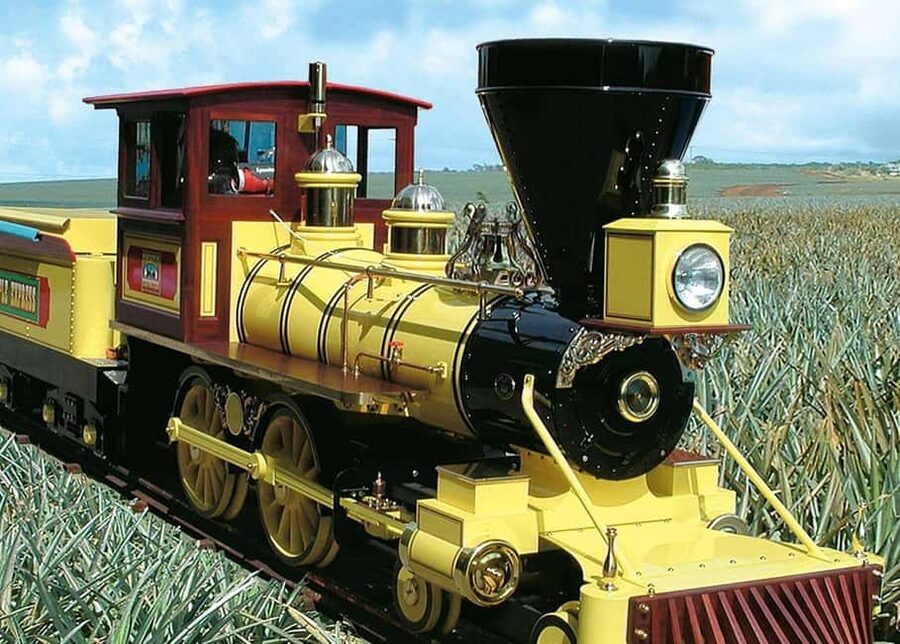 Oahu: Dole Plantation & Haleiwa Express Deluxe Tour - At Dole Plantation, choose how much activity you want