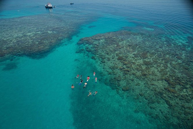 Ocean Freedom Great Barrier Reef Luxury Snorkel and Dive Cruise - Key things to know before booking