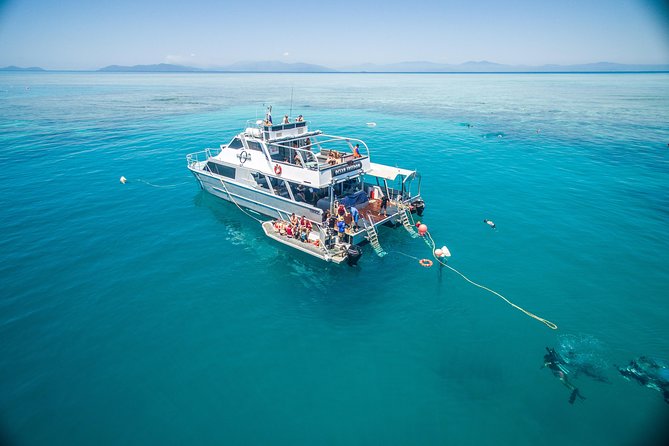 Ocean Freedom Great Barrier Reef Luxury Snorkel and Dive Cruise - Wonder Wall and the outer Upolu Reef