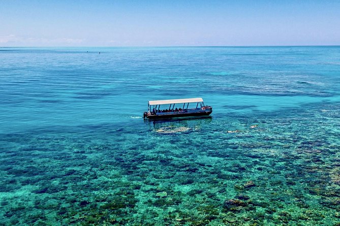 Ocean Freedom Great Barrier Reef Luxury Snorkel and Dive Cruise - What the glass-bottom tour adds