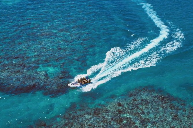 Ocean Freedom Great Barrier Reef Luxury Snorkel and Dive Cruise - How safe and beginner-friendly is it?