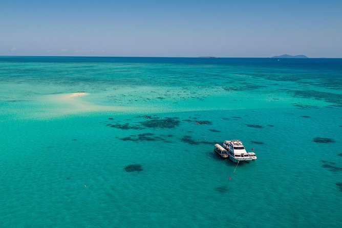 Ocean Freedom Great Barrier Reef Luxury Snorkel and Dive Cruise - Sea conditions and underwater visibility