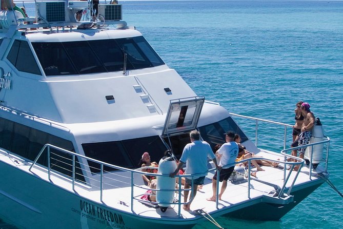 Ocean Freedom Great Barrier Reef Luxury Snorkel and Dive Cruise - How the price compares with the experience
