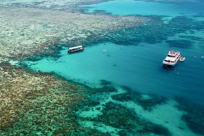 Ocean Freedom Great Barrier Reef Luxury Snorkel and Dive Cruise - Upolu Cay’s shallow coral garden