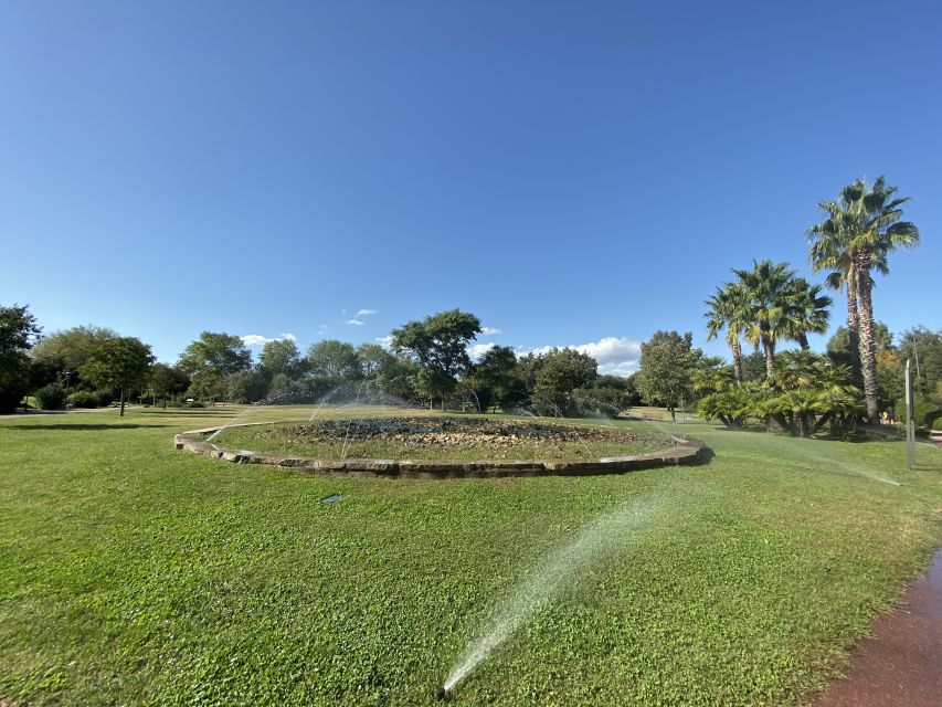 Olbia: Exclusive Guided City Tour in Tuk-Tuk - Starting at Molo Brin beside the carousel