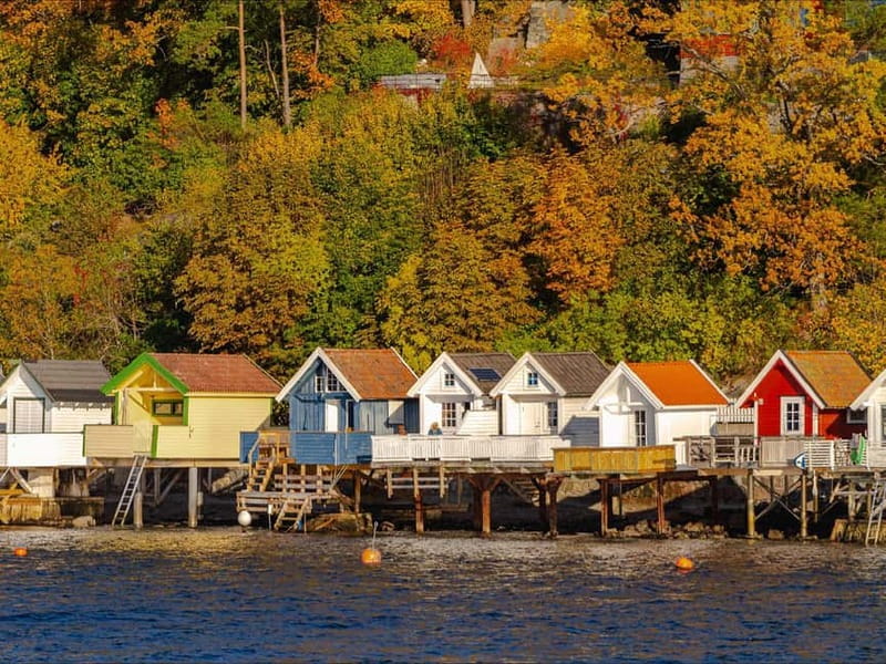 Oslo: Guided Sightseeing Fjord Cruise on Premium Silent Boat - Dyna Lighthouse and the Smaller Harbor Sights