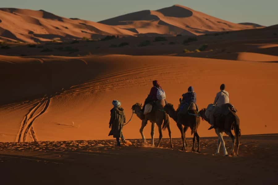 Overnight in Luxury Tent in Desert Camp Erg Chebbi Merzouga - What $117 buys you