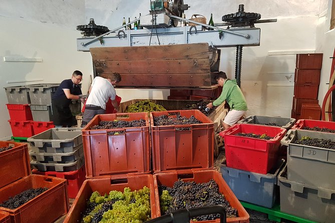 Paris Wine Day Tours exclusive Champagne tour incl. 3 visits - Why this Champagne day works better than a single-house visit