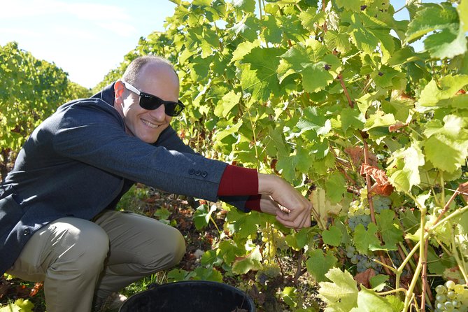 Paris Wine Day Tours exclusive Champagne tour incl. 3 visits - Reims Cathedral and a major Champagne house