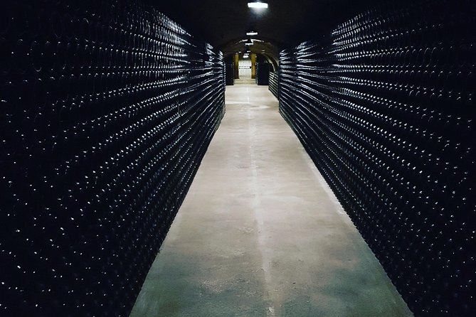Paris Wine Day Tours exclusive Champagne tour incl. 3 visits - What the guide can add