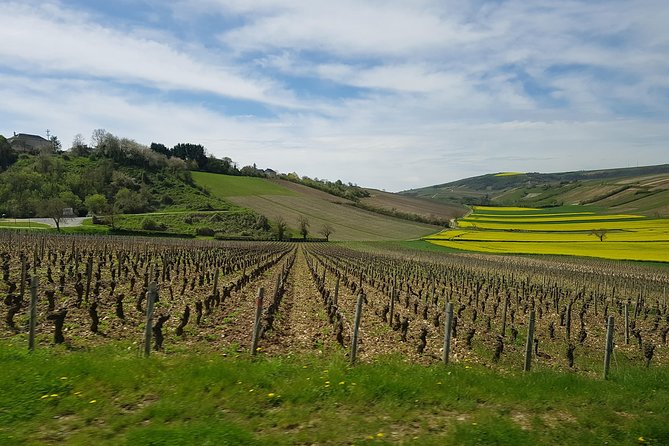 Paris Wine Day Tours exclusive wine tour in the Sancerre area - Key points at a glance