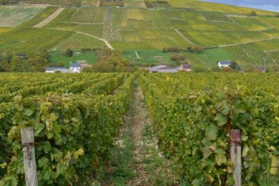 Paris Wine Day Tours exclusive wine tour in the Sancerre area