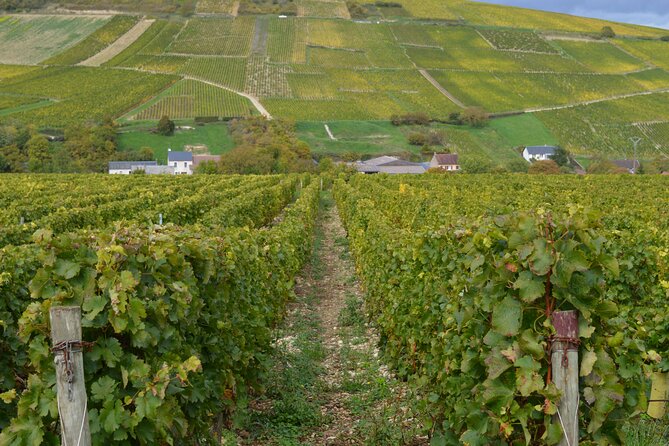 Paris Wine Day Tours exclusive wine tour in the Sancerre area - Leaving Paris from Porte d’Orléans at 7:00 a.m.