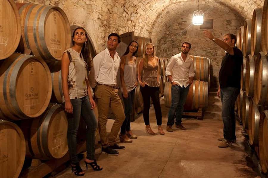 Perth VIP Swan Valley Wine Tour - Premium Small Group Tour - Who should book this Swan Valley tour?