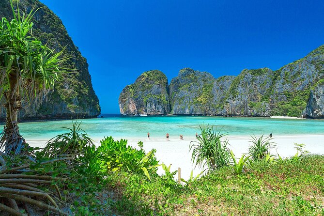 Phi Phi & Bamboo Island Full Day Tour by Premium Speed-Catamaran - What $97 gets you