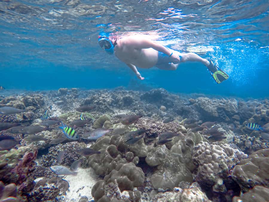 Phi Phi & Bamboo Islands: Premium Day Trip w/ Seaview Lunch - Bamboo Island gives you the first real swim