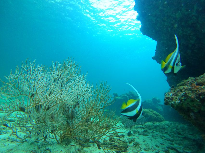 Phi Phi & Bamboo Islands: Premium Day Trip w/ Seaview Lunch - A proper resort lunch at Phi Phi Holiday Resort