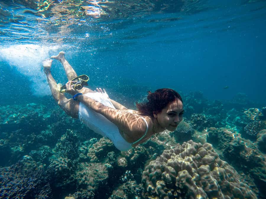 Phuket: Deluxe Phi Phi Tour by Speedboat & Lunch Buffet - Key points to know before booking