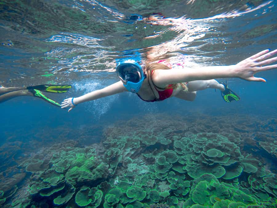 Phuket: Deluxe Phi Phi Tour by Speedboat & Lunch Buffet - A full day from Phuket to the Phi Phi Islands