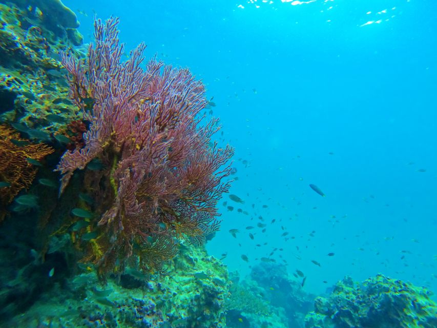 Phuket: Deluxe Phi Phi Tour by Speedboat & Lunch Buffet - Pileh Lagoon delivers the big scenery